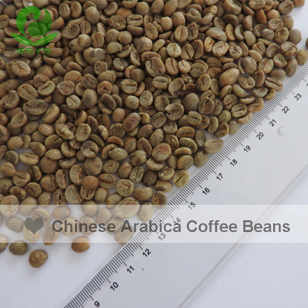 For Sale Yunnan Arabica Green Coffee Beans