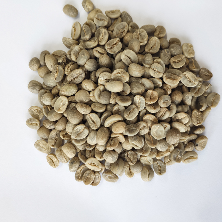 Hot Sale Green Coffee Arabica Beans Coffee