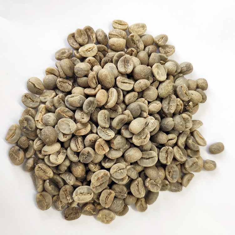 Hot Sale Green Coffee Arabica Beans Coffee