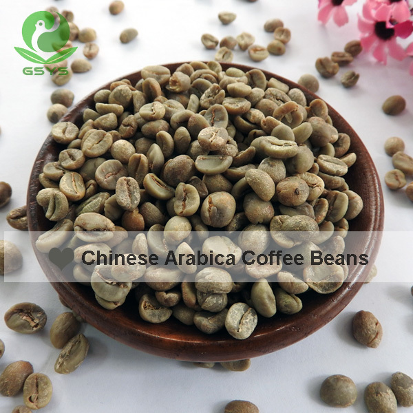 For Sale Yunnan Arabica Green Coffee Beans