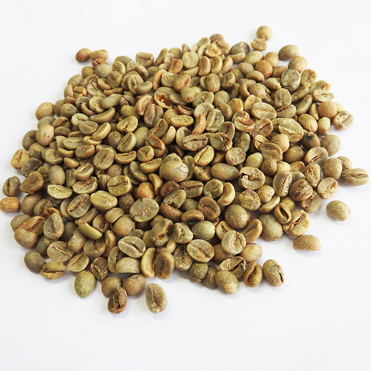 Hot Sale Green Coffee Arabica Beans Coffee