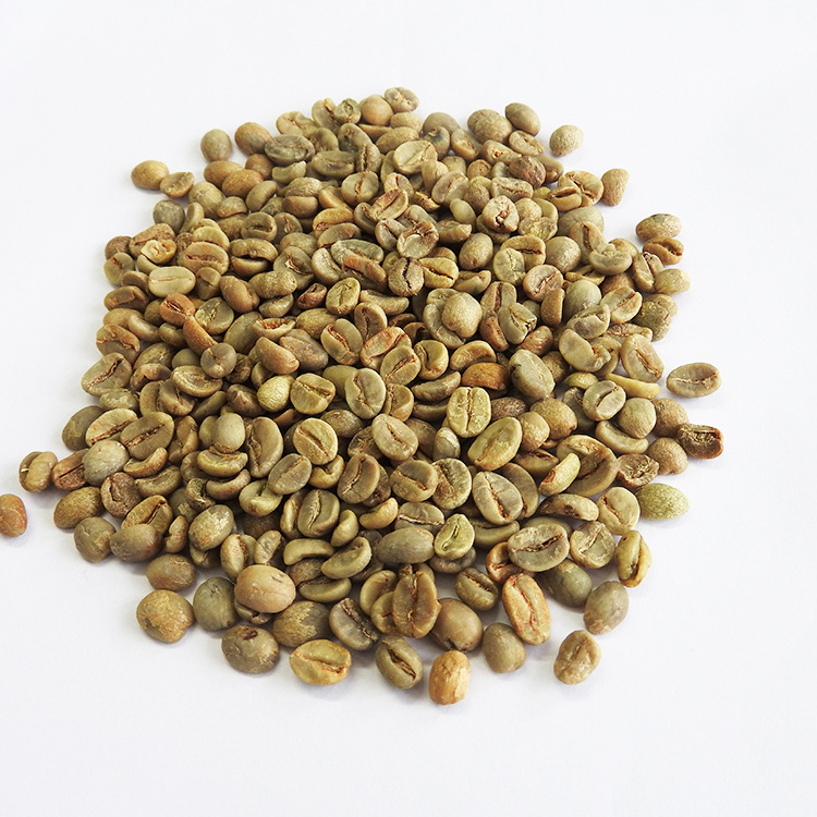 Export High Quality Arabica Green Coffee Beans