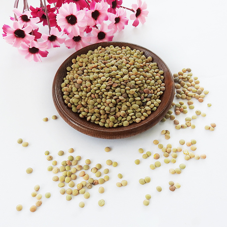 Chinese Lentils  Low Price Green Lentils