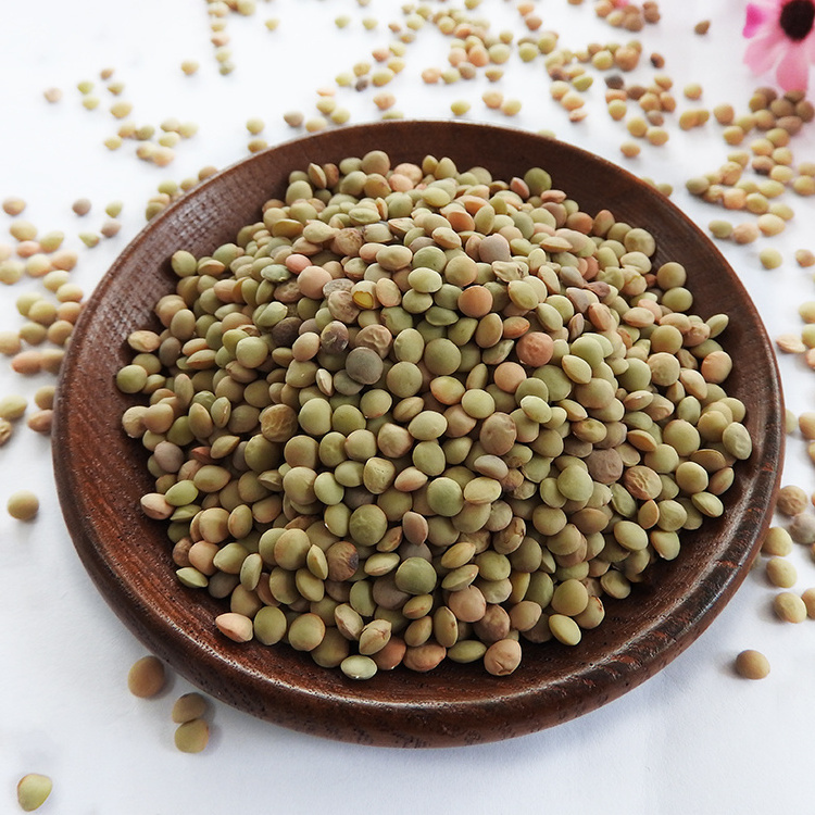 Chinese Lentils  Low Price Green Lentils