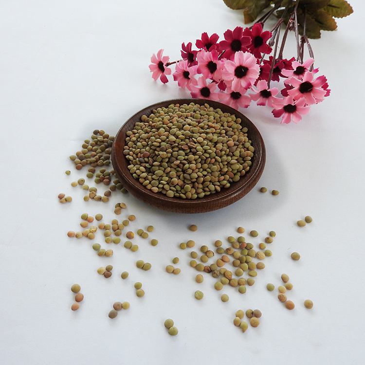 Chinese Lentils  Low Price Green Lentils