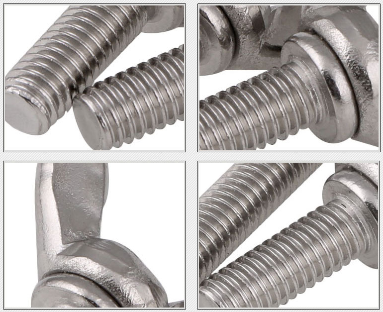 Factory Price Din316 Wing Bolts And Nuts Stainless Steel Wing Head Bolt