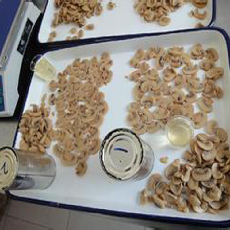 Wholesale mushroom canned White button mushroom canned