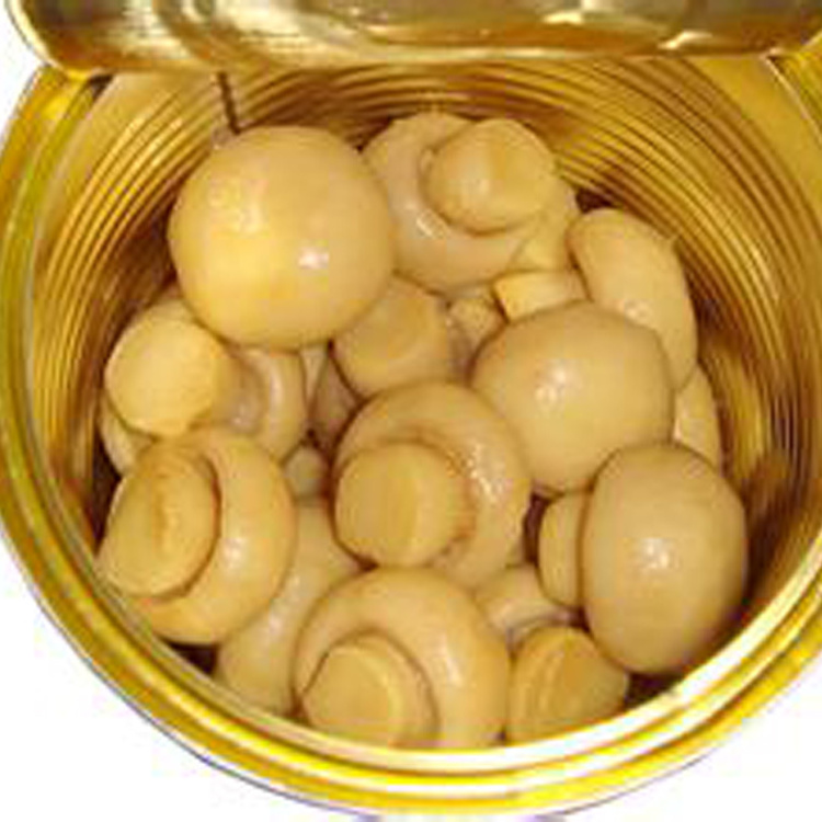 Wholesale mushroom canned White button mushroom canned