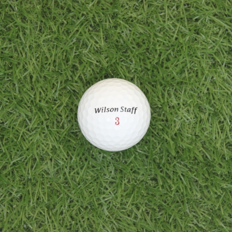 2021 Different branded grade lake golf ball and different rank recycled used golf balls 24 pcs