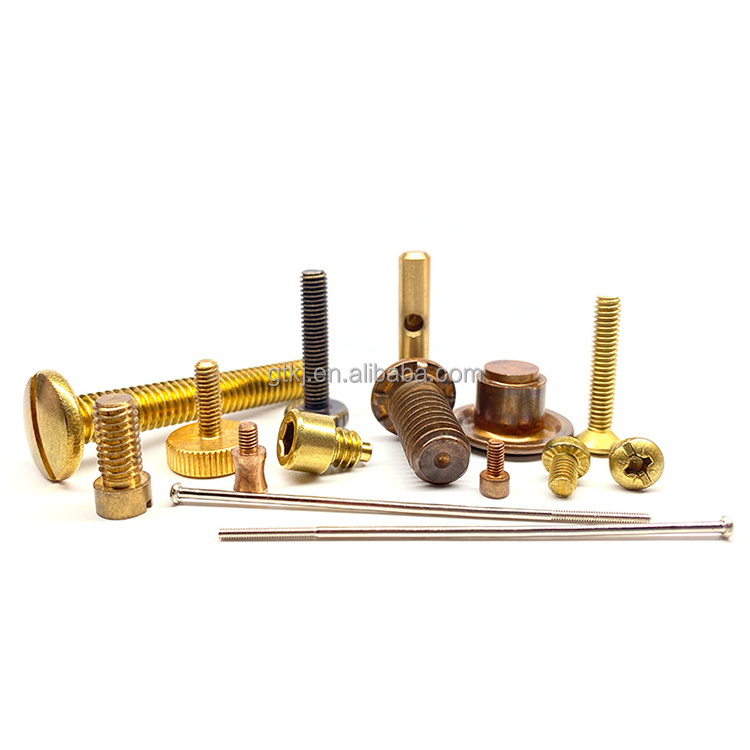 Professional Custom Screw Factory OEM ODM Design Brass Aluminum Titanium Anodized Stainless Steel Bolt Screws