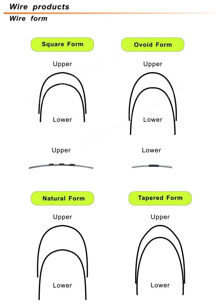 Dental Ni-Ti Niti Stainless Steel Orthodontic Archwire/Arch Wire