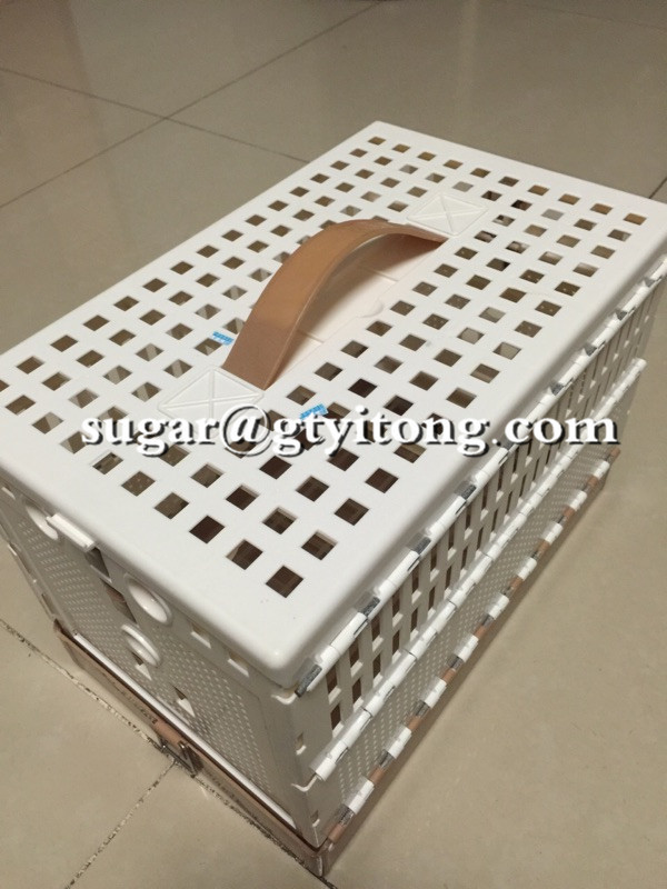 ABS Birds cages Plastic pigeon flying folding cages for training