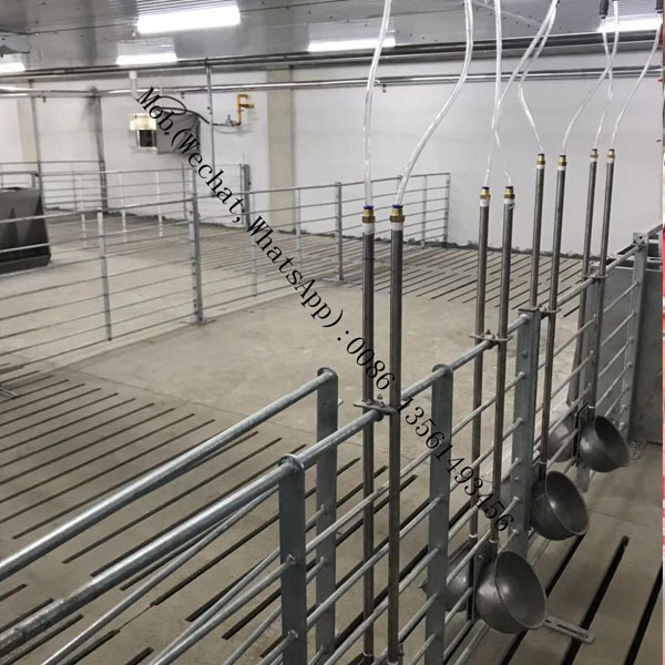 Hot-dipped Galvanization Pipe Fattening Pen finishing animal  crate for Pig Farm