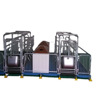 Pig farm equipment Pig farrowing crate farrowing crate for pigs