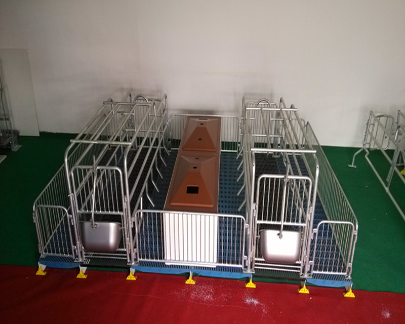 Pig farm equipment Pig farrowing crate farrowing crate for pigs