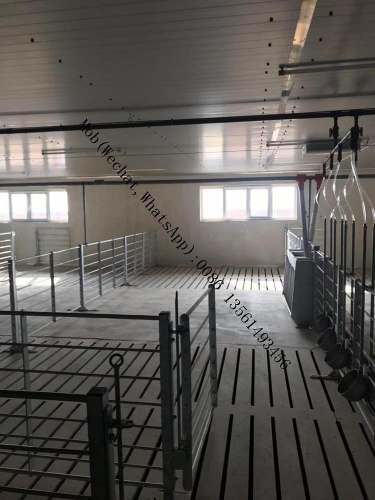 Finishing Crates Fatten Pen Pig Breeding Farms animal cages