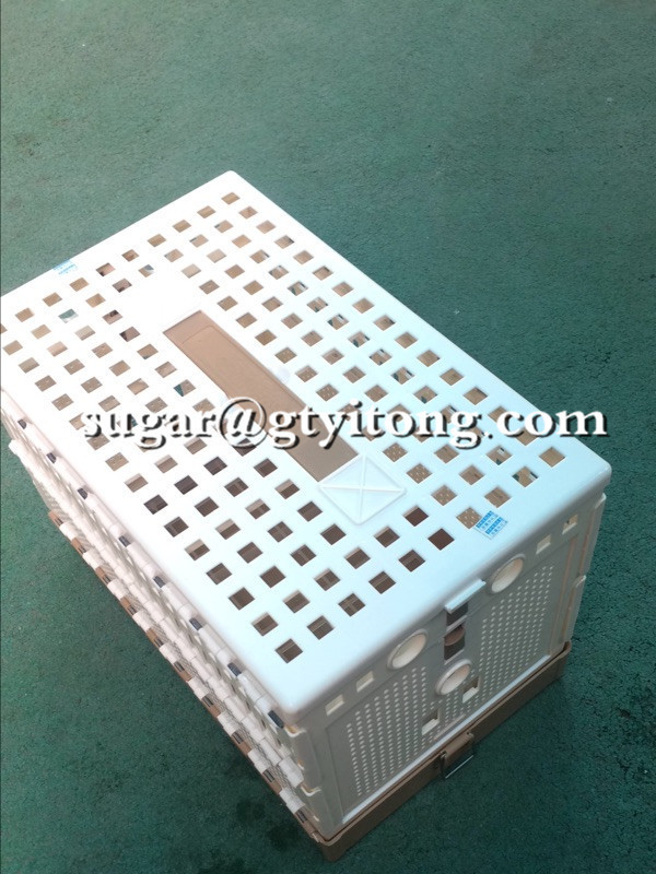 ABS Birds cages Plastic pigeon flying folding cages for training