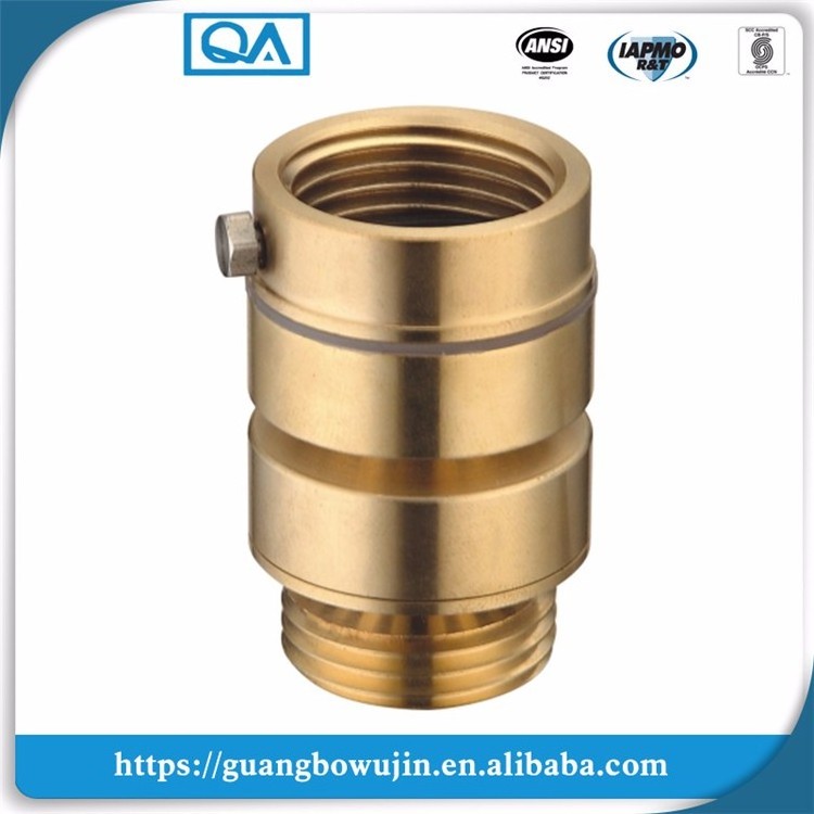 Brass anti siphon vertical check valve pvc,vertical check valve