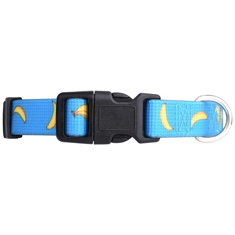 Soft Silicone Quick Release Wholesale Tpu Hunting Dog Leash And Collar