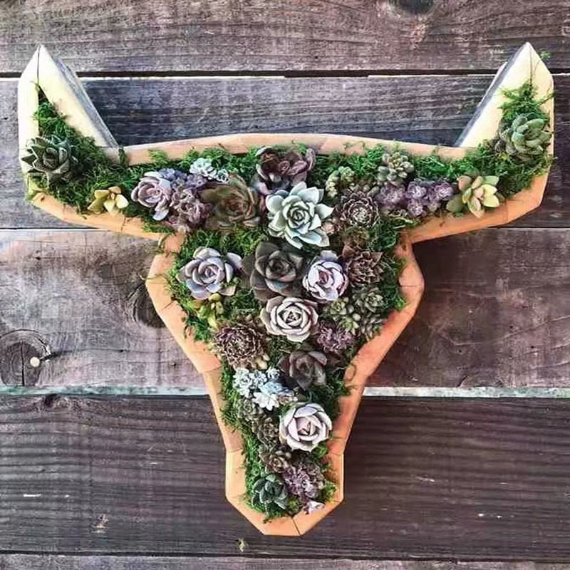 Animal shape wooden succulent flower pot outdoor garden horse head butterfly planter pot shallow succulent wooden flower pot