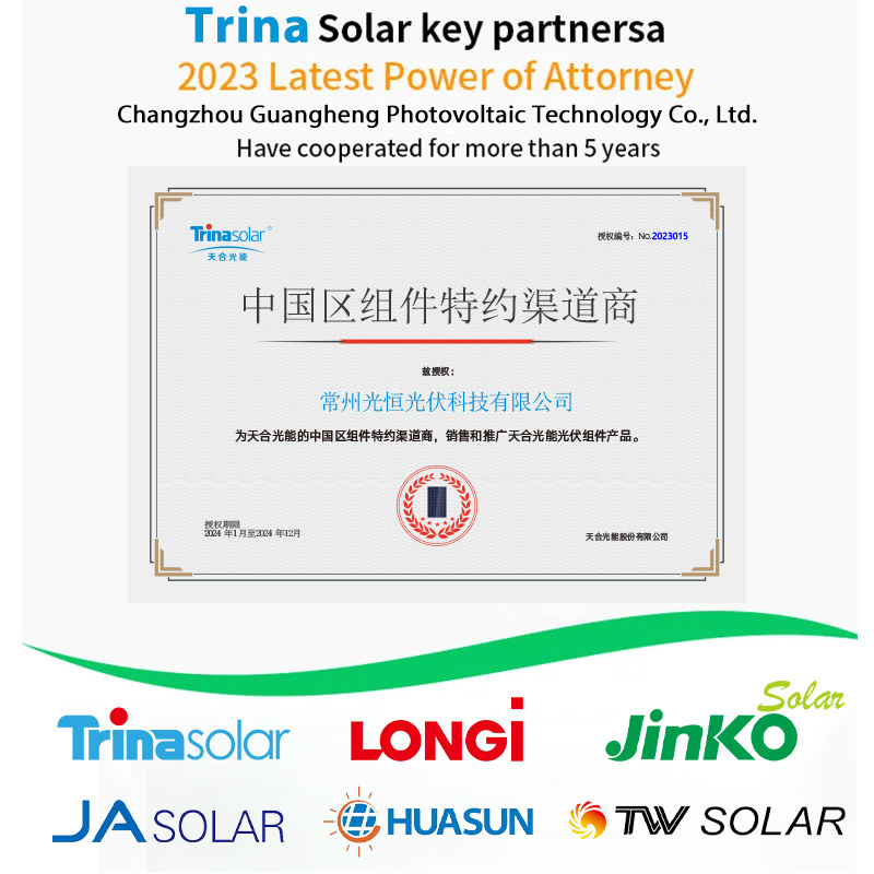 High Efficiency White Solar Panels Placa Painel Solar 300 Watts 700w 1000 Watt Solar Panel 150w Photovoltaic Plate