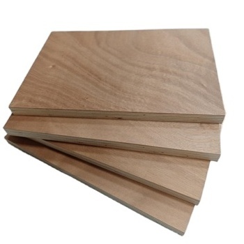 Wholesale 4x8 18mm ENF E0 Formaldehyde Grade Okoume Surface Eucalyptus Core Marine Plywood for Furniture Cabinets Decoration