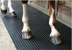 High Quality Wear-Resisting Recycled Livestock Cow Cattle Horse stable Rubber Floor Mat