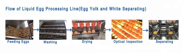 Hot Sale GT-EBL8000S Egg Washing Breaking and Separating Machine Line 8000 Egg/hour (Egg White and Yolk Separating)