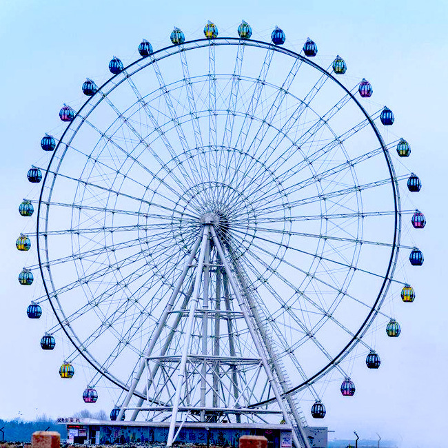 20/30m Ferris Wheel for Sale