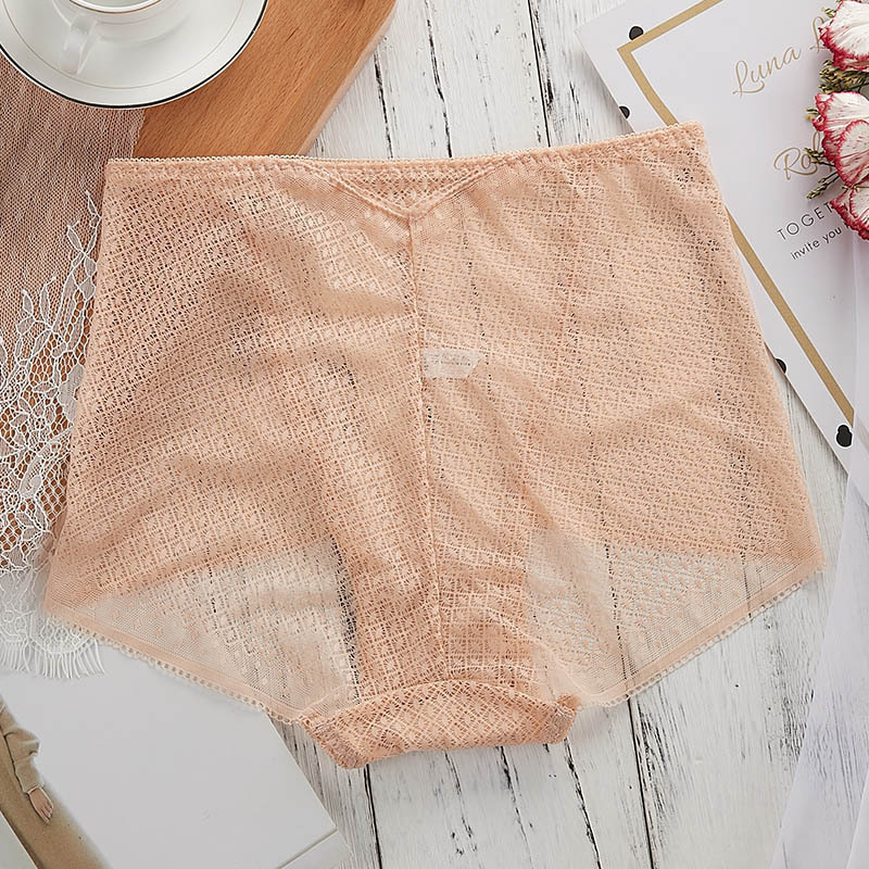 Wholesale women's high cut panty High Elastic Breathable Panties Hollow Transparent Brief sexy lace women's panties