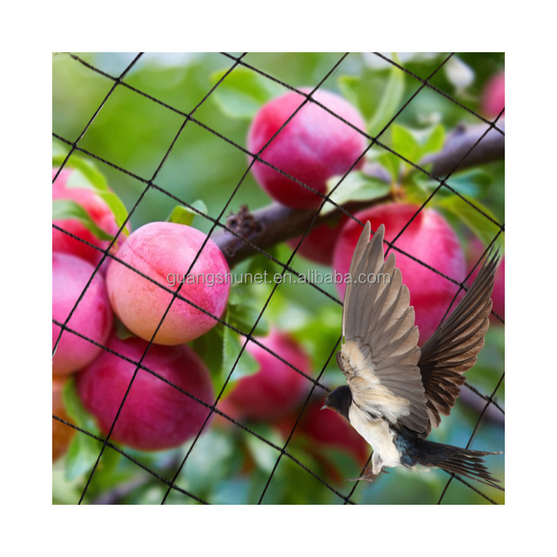 Bird net is an excellent choice for safeguarding your garden bed vines, crops or fruit trees