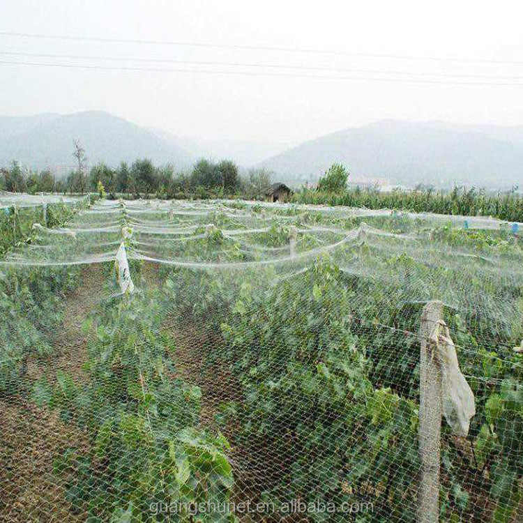 Plastic mesh for agriculture Vineyard, orchard, vegetable garden,  agricultural net agro net