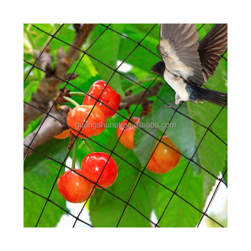 Bird net is an excellent choice for safeguarding your garden bed vines, crops or fruit trees