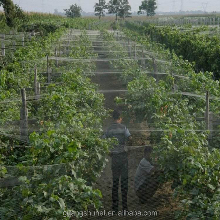 Plastic mesh for agriculture Vineyard, orchard, vegetable garden,  agricultural net agro net