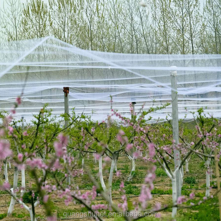 Plastic mesh for agriculture Vineyard, orchard, vegetable garden,  agricultural net agro net