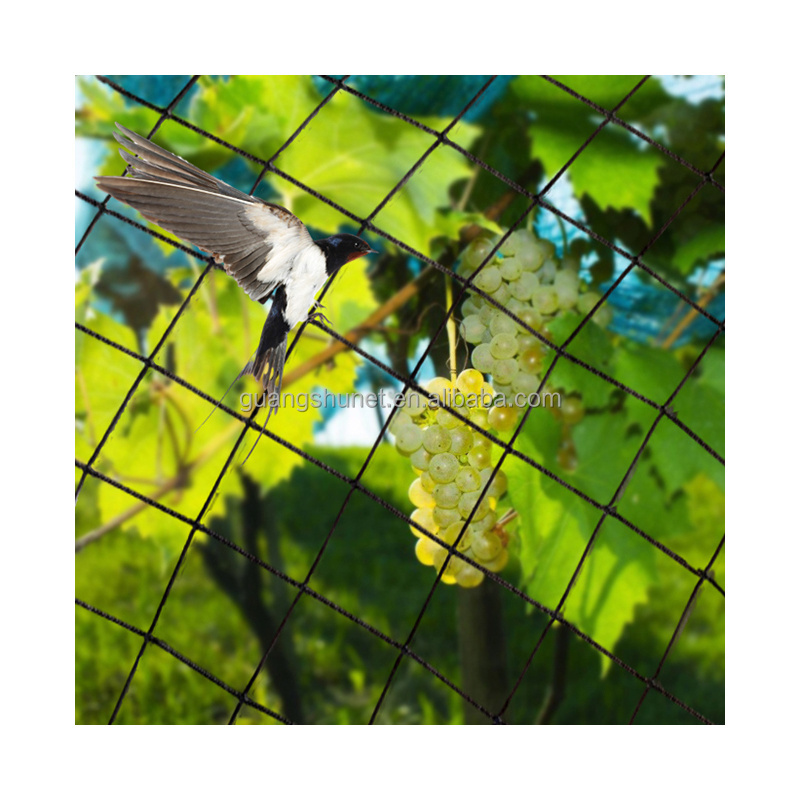 Bird net is an excellent choice for safeguarding your garden bed vines, crops or fruit trees