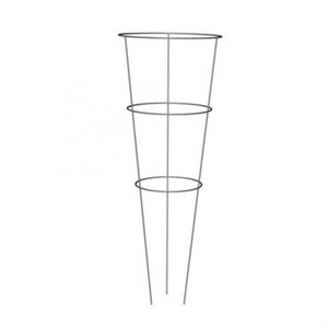 Garden Plant Support Frame tomato support plant protect cage, Galvanized wire frame cone tomato cage