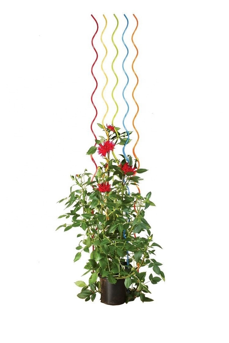 Factory Price Galvanized PVC Garden Tomato Spiral Plant Support Wire/Tomato Spiral Stake Support