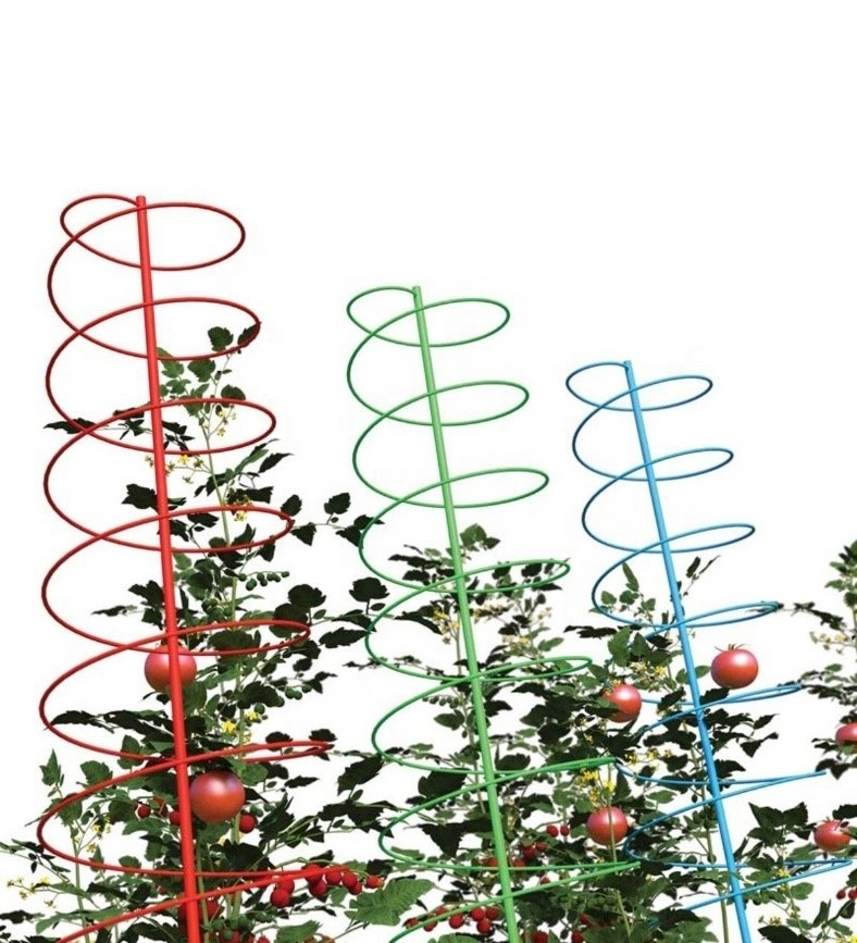 Factory Price Galvanized PVC Garden Tomato Spiral Plant Support Wire/Tomato Spiral Stake Support