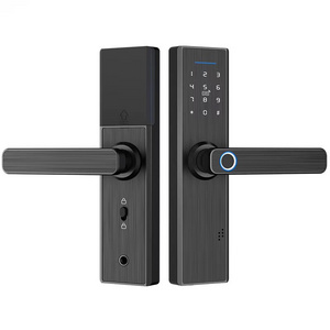 Tuya Wifi TTlock Anti-theft hotel and household door lock smart Fingerprint smart door lock