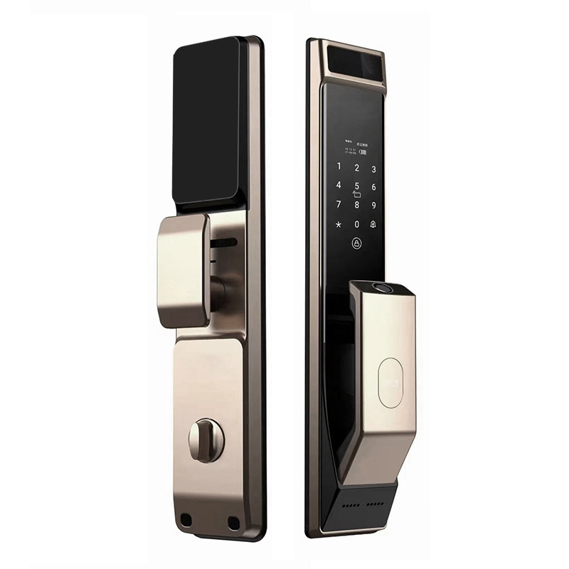 Wooden stainless door cat eye fingerprint password electronic lock Security door face door lock