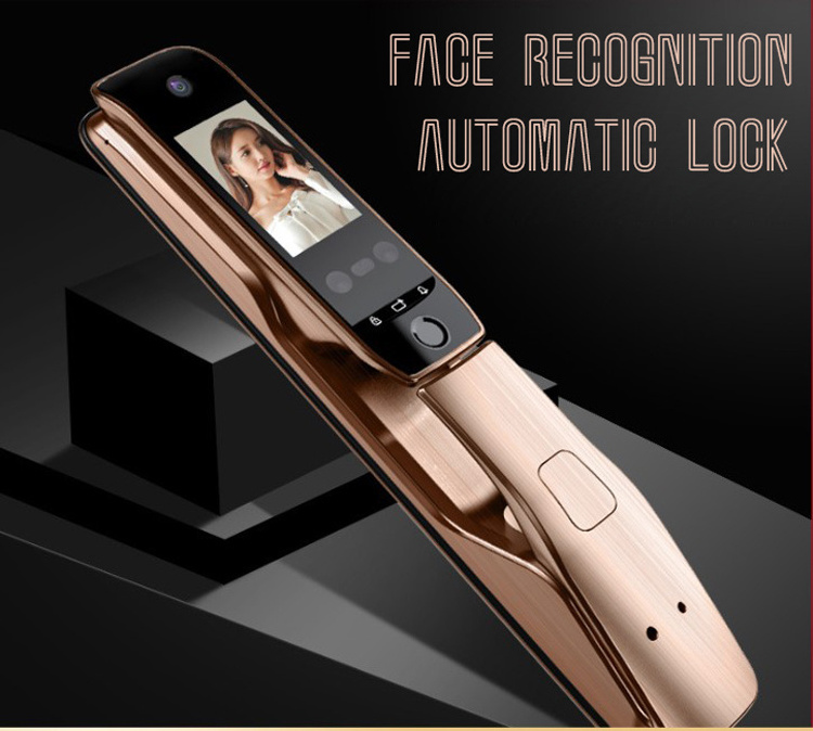 Fingerprint lock of household security door with camera capture 3D face recognition brush fingerprint lock