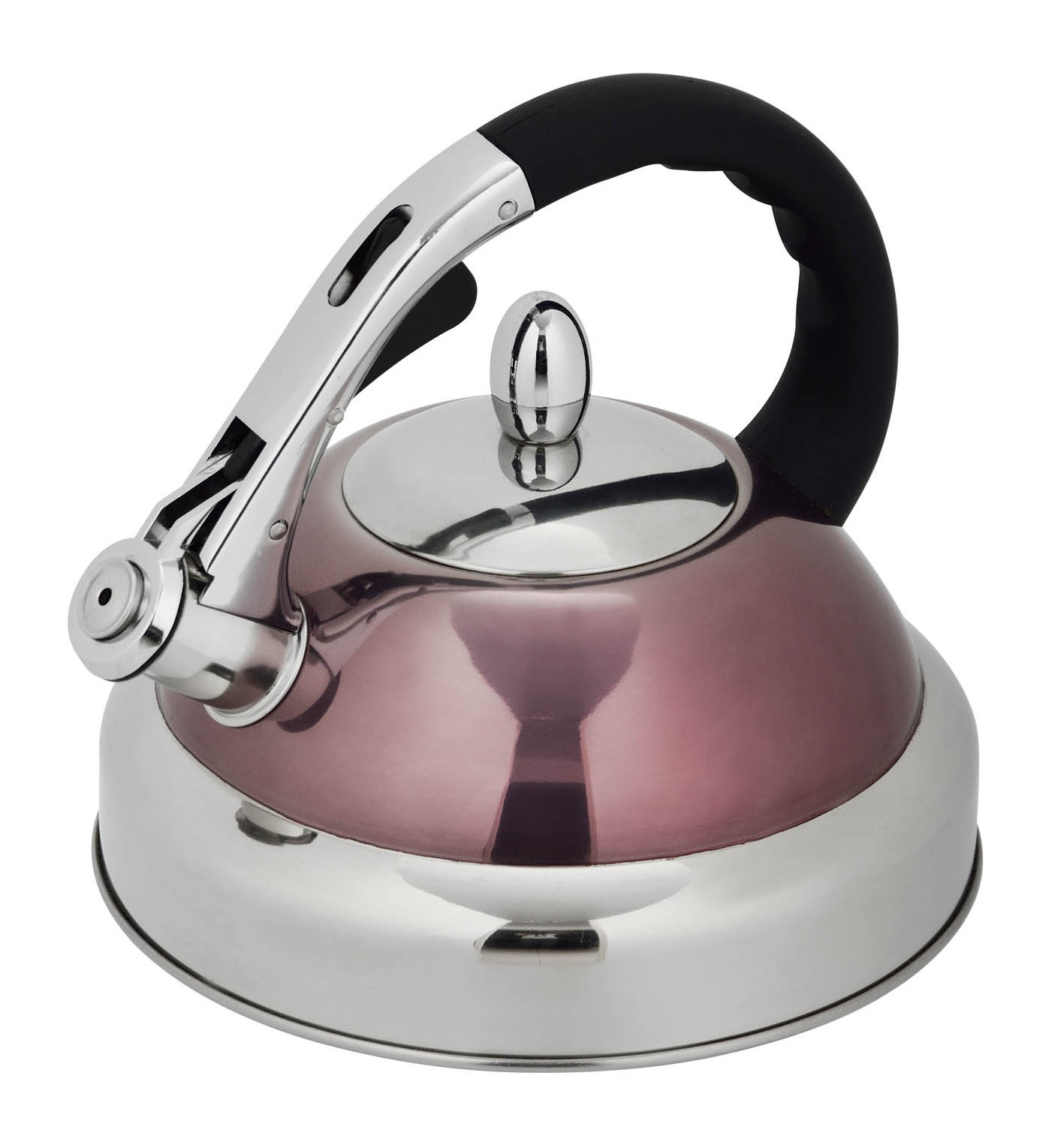 Stove Top Gas Induction Non Electric Water Kettles Stainless Steel Tea Paint Whistling Kettle