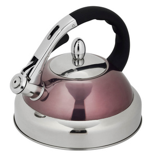 Stove Top Gas Induction Non Electric Water Kettles Stainless Steel Tea Paint Whistling Kettle