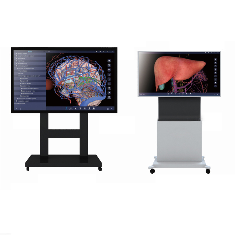 Human virtual anatomy table with 3D virtual human anatomy system