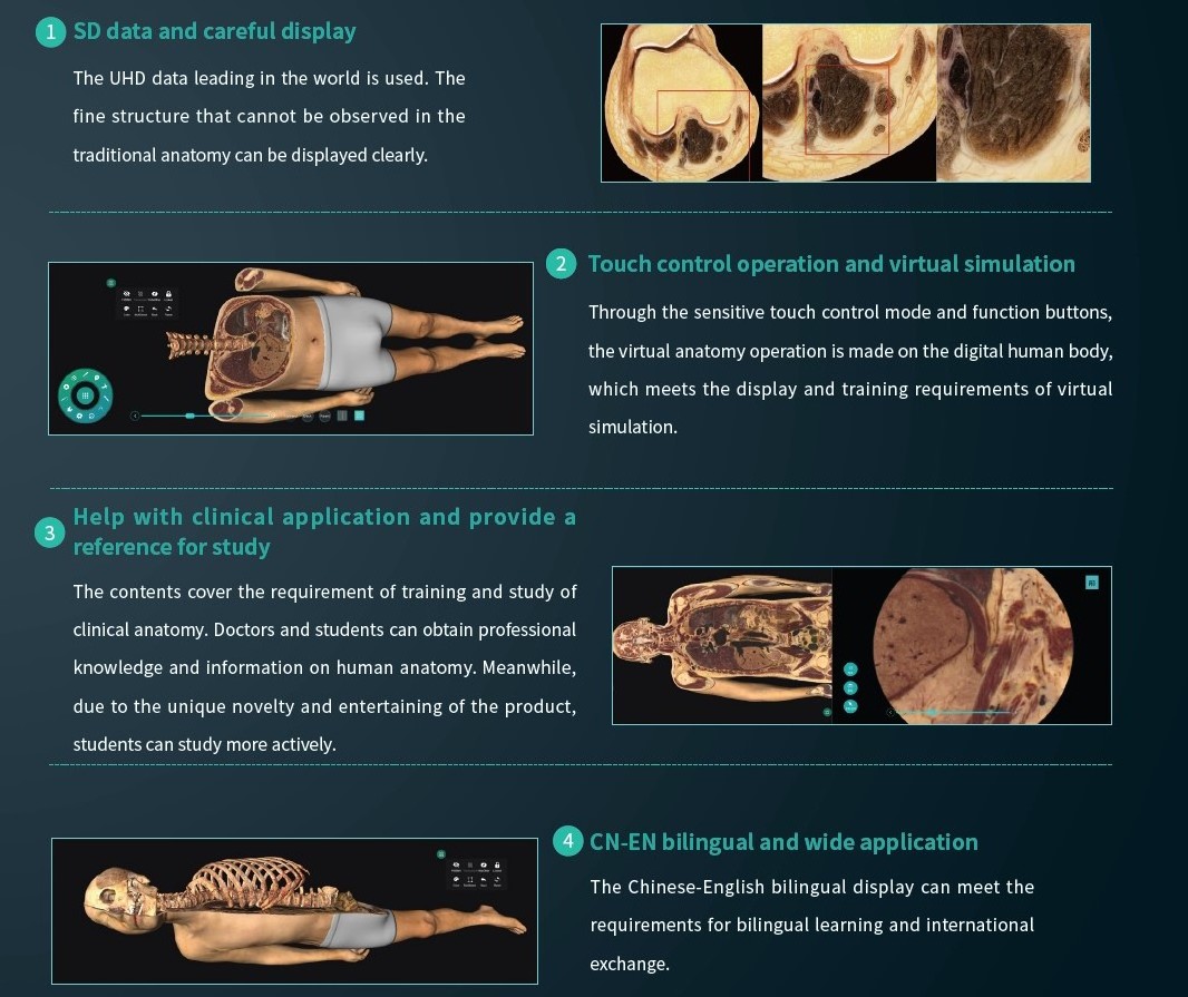 Medical Education System Virtual Anatomy Table 3D Virtual Autopsy Table