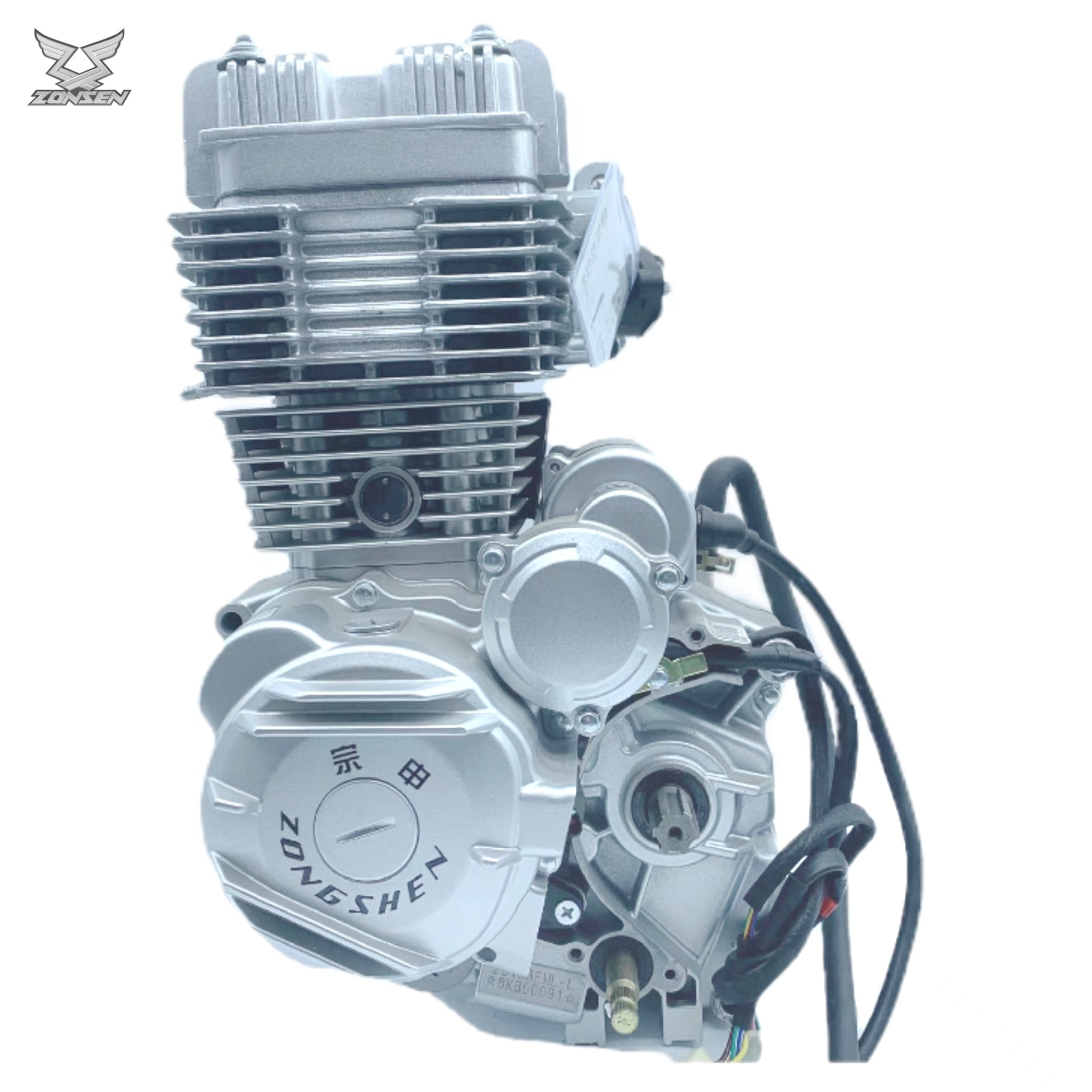 OEM Zongshen Cg200 Motorcycle Engine Assembly Tricycle Spare Parts for Honda YAMAHA Suzuki Bajaj ATV 200cc Engine