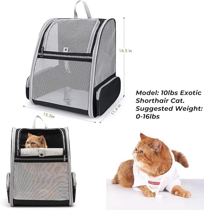 Hot Sale Version Space Cat Bag Capsule Carrier Pet Carrier Double Shoulder Pet Carriers & Travel Products