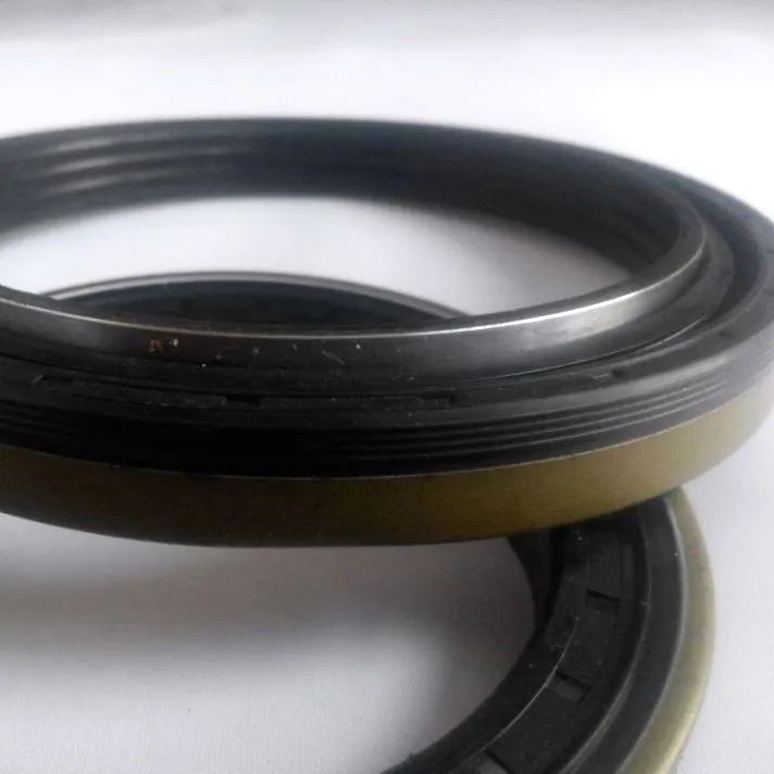 Cassette Oil Seal for Wheel Hub 165*195*16.5/18