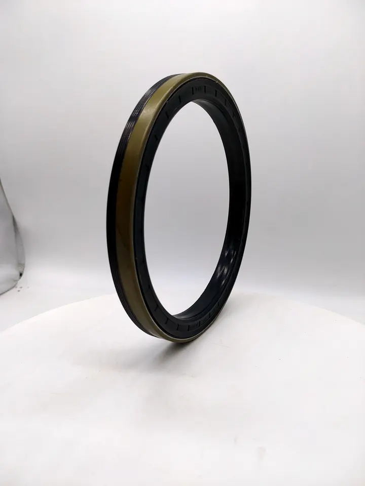 Cassette Oil Seal for Wheel Hub 165*195*16.5/18